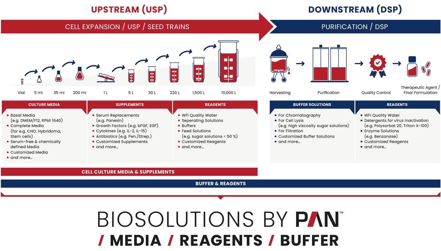 USP/DSP-Diagramm — von der Zellkultur bis zur Abfüllung, mit PAN-Biotech-Medien, -Puffern und WFI in jedem Schritt.“